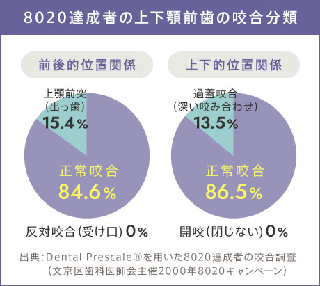 8020達成者の上下顎前歯の咬合分類