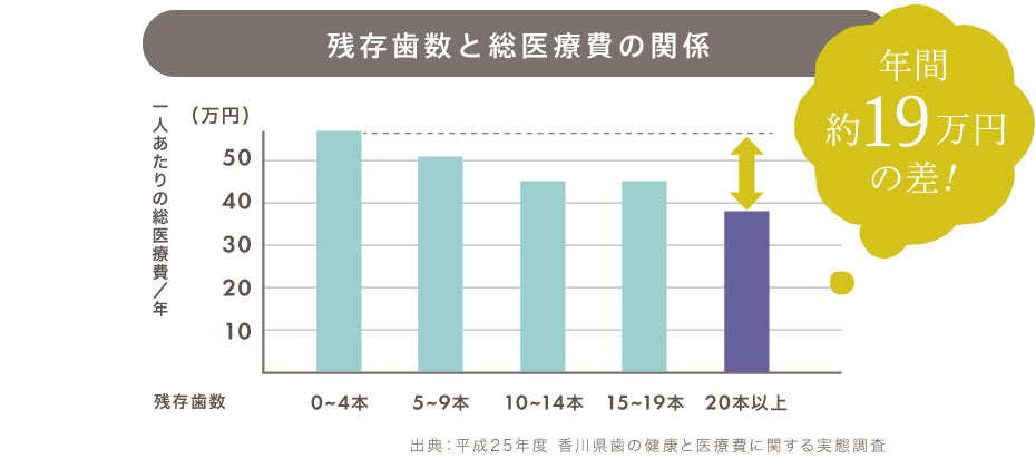 残存歯数と総医療費の関係